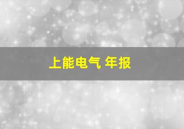 上能电气 年报